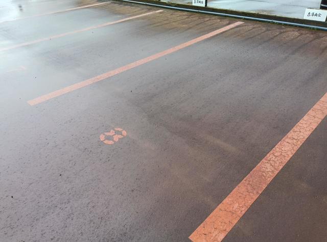 蓮潟　吉沢商会ビル 301 駐車場