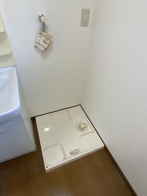 ラフレシア 202 その他
