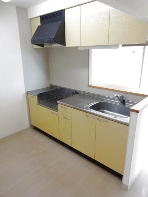 ＲＥＳＩＤＥＮＣＥ　Ｈｉｌｌ　Ｗｅｓｔ裏館 310 キッチン
