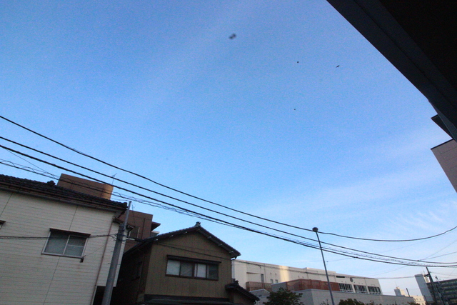 Ｄ‐ＲＯＯＭ笹口 101 眺望