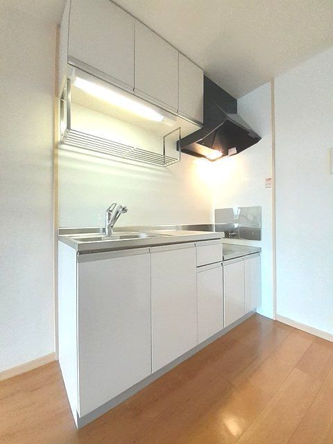 エルディムヒロ 202 キッチン