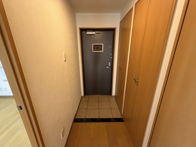 フェリシア柳都 303 玄関