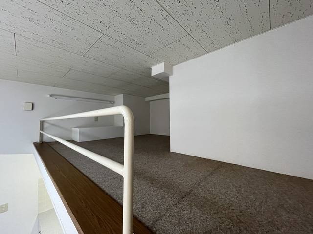 プラザ ドゥ ラビン 105 その他部屋・スペース