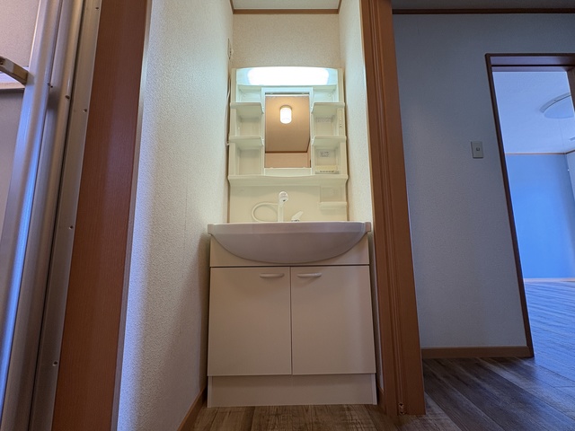 カーサウィング 202 洗面所