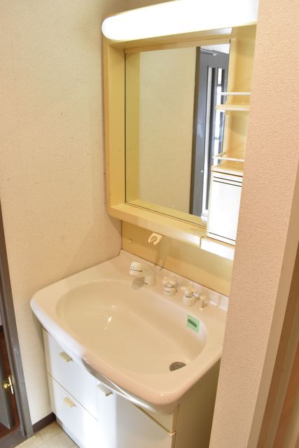 ライオンズマンション高田 502 洗面所