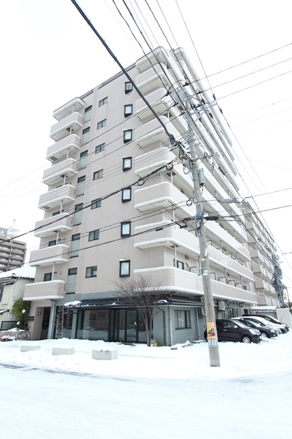 コートシャンベル 705 外観