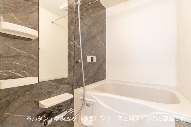 グラン　アクシス　Ⅰ 204 浴室