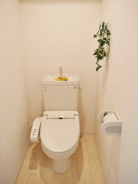 ＲＥＳＩＤＥＮＣＥ Ｈｉｌｌ Ｅａｓｔ河渡 506 トイレ