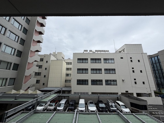 アルファガレリア本町通 303 眺望