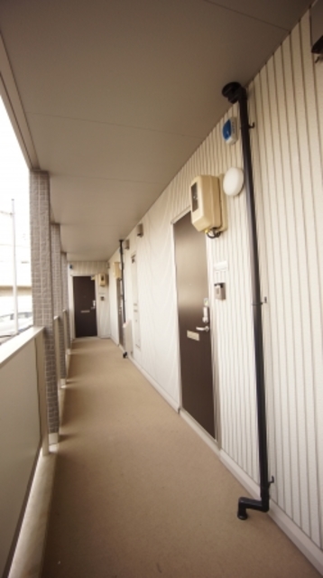 DEARROOMサチ 207 その他共有部分