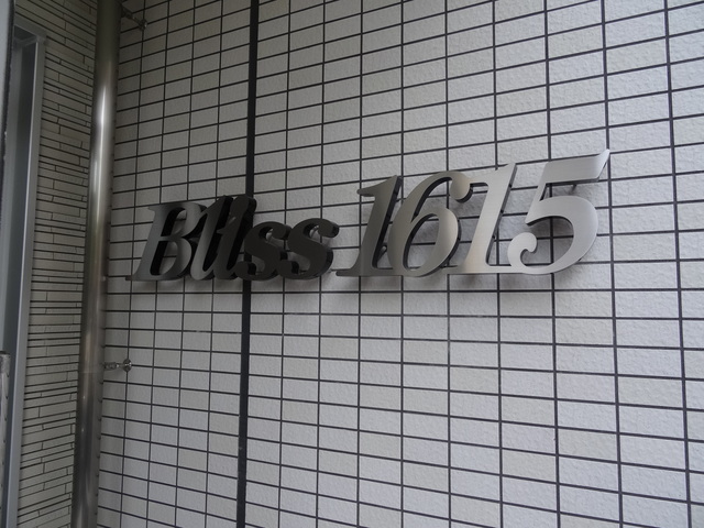 Ｂｌｉｓｓ　１６１５ 203 その他