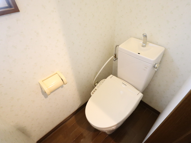 メゾンハヤカワ胎内 102 トイレ