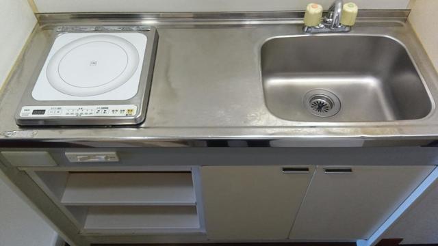 燕三条エクスプレスハイツ 510 キッチン