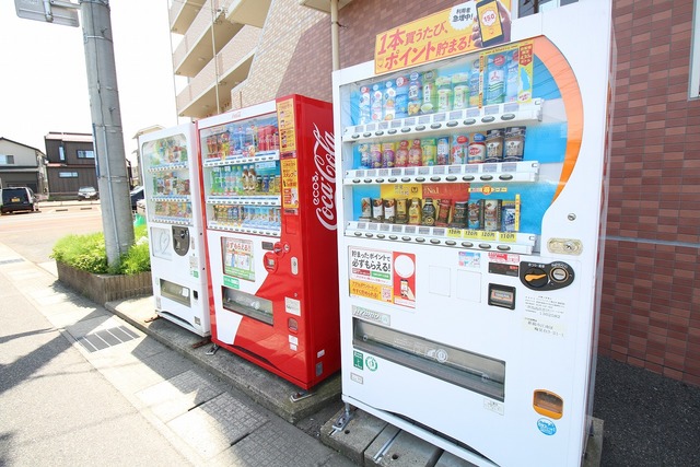 ヴィラエザンス 206 その他共有部分