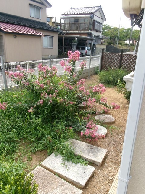 テラスサンフローリー 102 庭