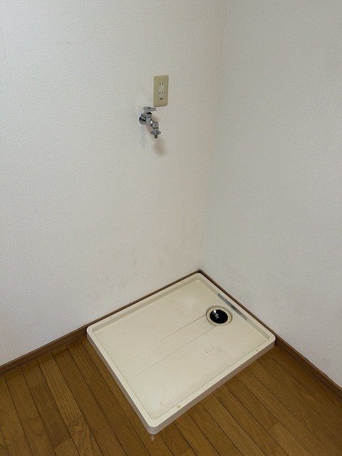 ピジョンＡ 102 その他