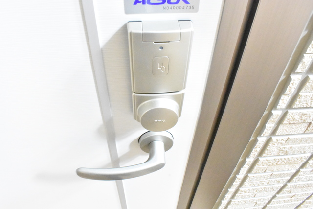 アネシス寺町 D107 玄関