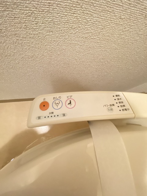 ガーデンコートＡ棟 303 トイレ