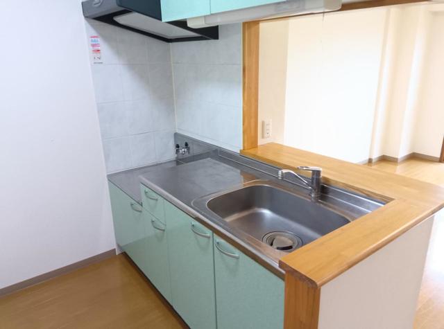 リーベンヴィラ 303 キッチン