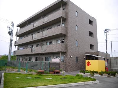 di Colza 401 外観