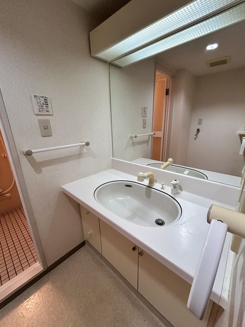 ダイアパレス水道町通り 303 洗面所