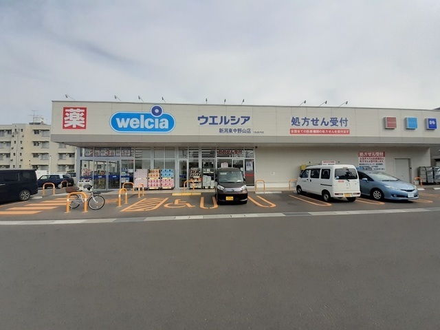 カメリアコートＡ 203 その他