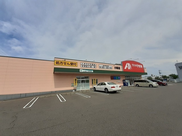 ウエストコシン 203 その他