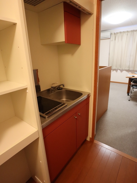 レオパレスカルミア住吉Ｂ 206 キッチン