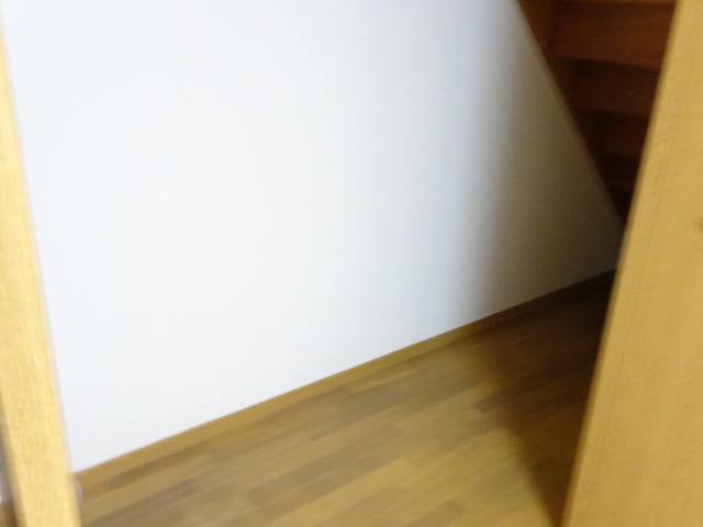 黄金ハイツ友和６号棟 101 その他部屋・スペース