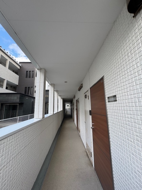 ＳＡＫＡＳＵ　ＤＡＩＤＡ 106 その他
