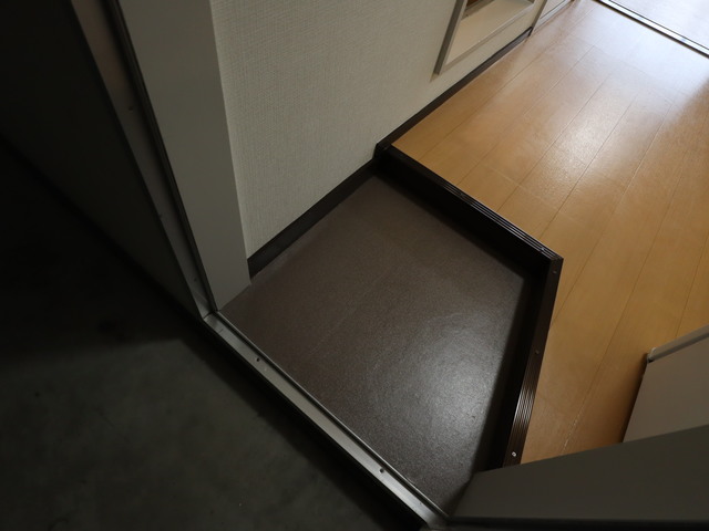 ドミトリーつつじが丘　C 321 玄関