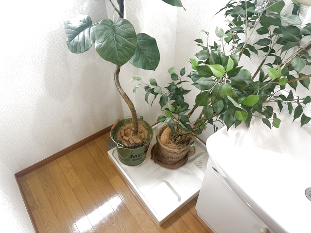 ブロードオーシャン 105 その他部屋・スペース