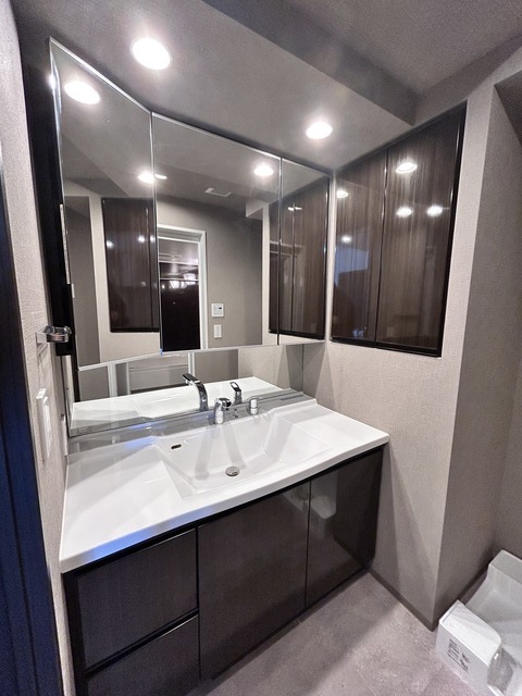 レーベン新潟　THE TOWER MARKS 704 洗面所