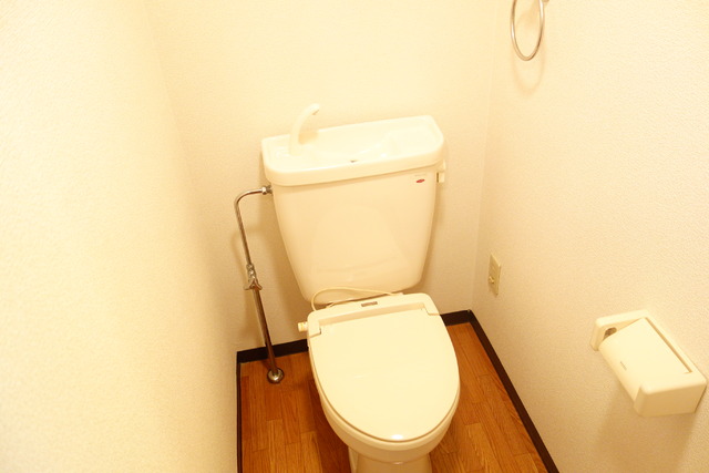 Lily-be関屋恵町 A303 トイレ