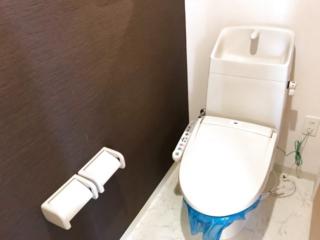 センチュリーカーサⅡ 101 トイレ