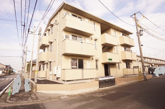 オリーブ（石山）