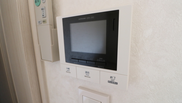ヴィオールチェ 202 セキュリティ