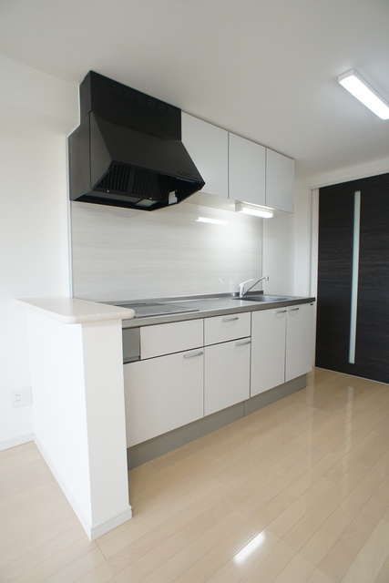 ＲＥＳＩＤＥＮＣＥ ＨＩＬＬ ＥＡＳＴ 新光 402 キッチン