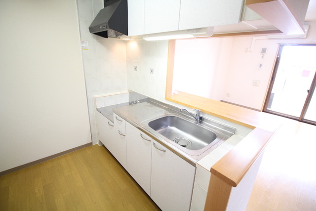 フェリシア柳都 903 キッチン