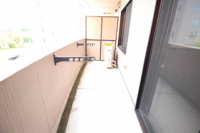 グランリーオ大川前 401 バルコニー