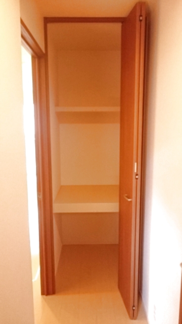 Ｄ－Ｒｏｏｍ・ＳＫ　Ⅳ 102 収納