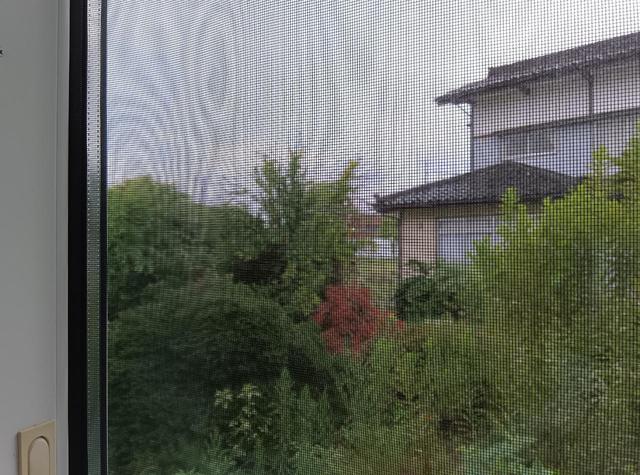 ラ・ランド　B 104 眺望