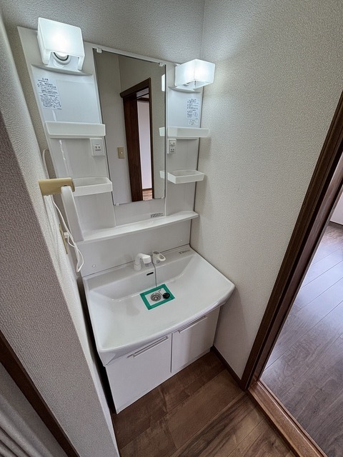 ピアータウン 202 洗面所