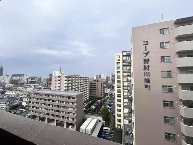 ダイアパレス川端町 1008 眺望