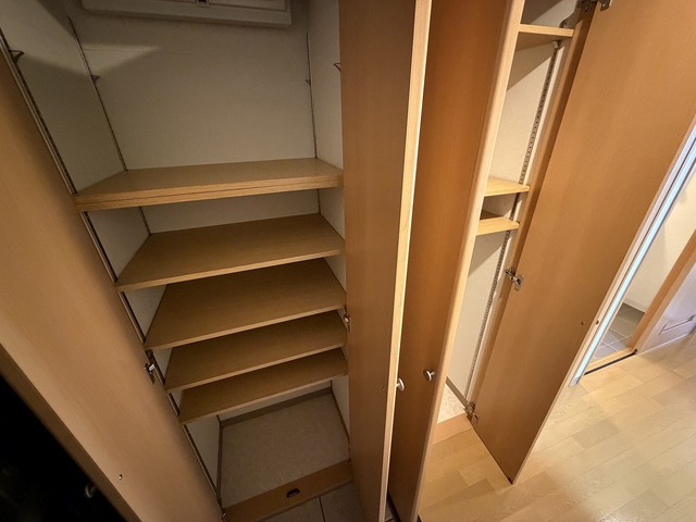 フェリシア柳都 303 収納