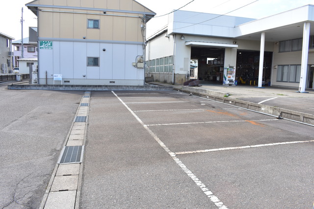 パンパスグラス 201 駐車場