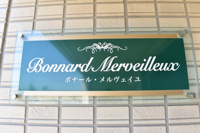 ボナール　メルヴェイユ 301 その他