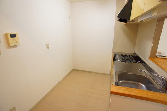ＲＥＳＩＤＥＮＣＥ　Ｈｉｌｌ　Ｗｅｓｔ裏館 102 キッチン