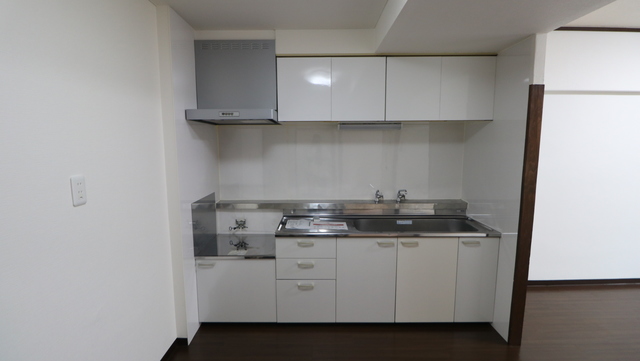 東明マンション 206 キッチン