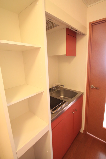 レオパレスカルミア住吉Ｂ 206 キッチン